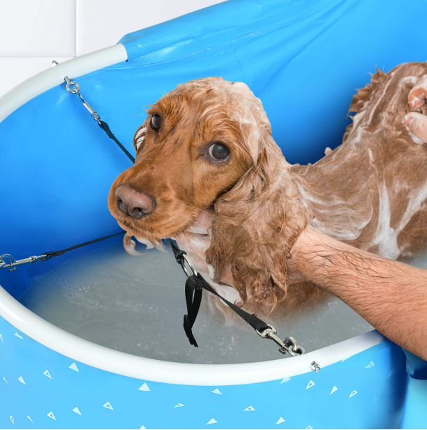 NURXIOVO Elevated Folding Dog Bath Tub and Wash Station for Bathing, Shower, and Grooming, Foldable and Portable, Indoor and Outdoor, Perfect for Small and Medium Size Dogs, Cats and Other Pet