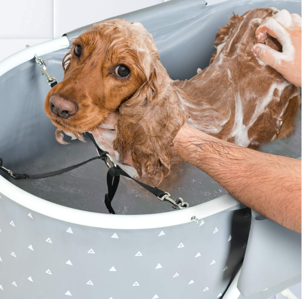 NURXIOVO Elevated Folding Dog Bath Tub and Wash Station for Bathing, Shower, and Grooming, Foldable and Portable, Indoor and Outdoor, Perfect for Small and Medium Size Dogs, Cats and Other Pet