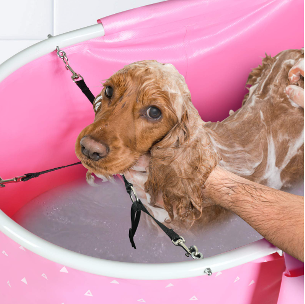 NURXIOVO Elevated Folding Dog Bath Tub and Wash Station for Bathing, Shower, and Grooming, Foldable and Portable, Indoor and Outdoor, Perfect for Small and Medium Size Dogs, Cats and Other Pet